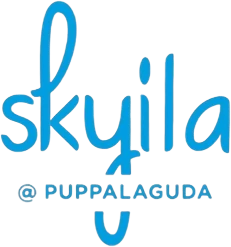 Skyila logo